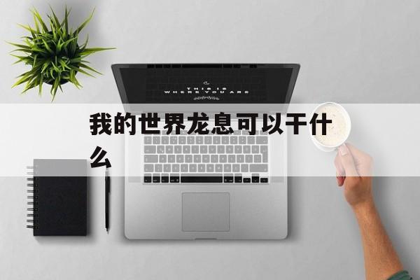 我的世界龙息可以干什么