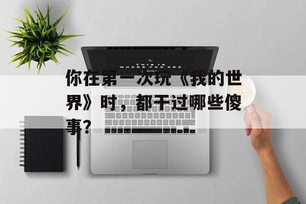 你在第一次玩《我的世界》时，都干过哪些傻事？