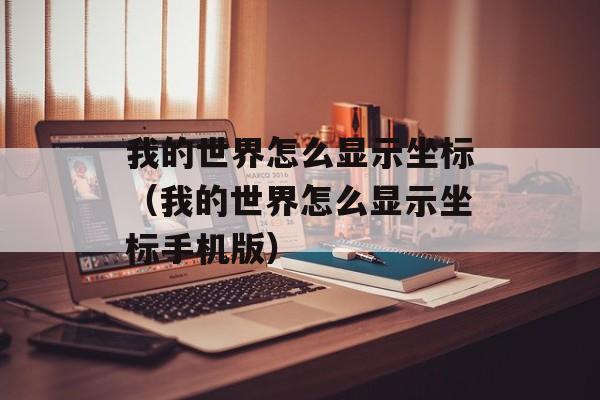 我的世界怎么显示坐标（我的世界怎么显示坐标手机版）