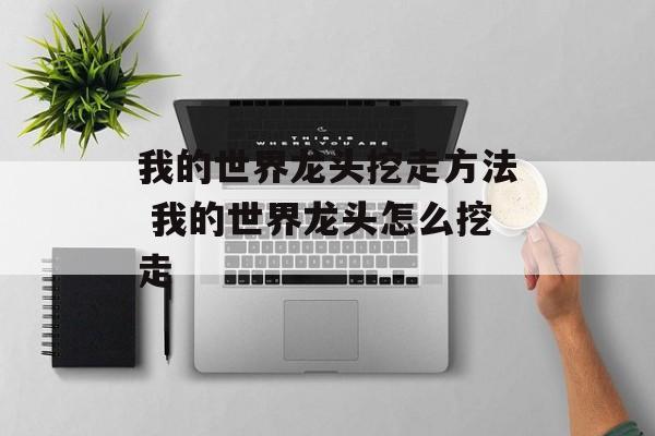 我的世界龙头挖走方法 我的世界龙头怎么挖走