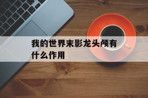 我的世界末影龙头颅有什么作用