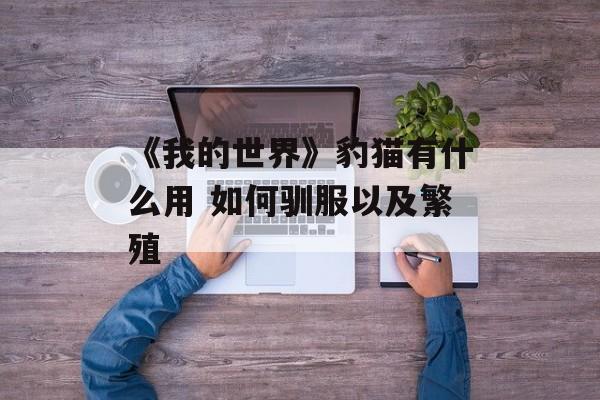 《我的世界》豹猫有什么用 如何驯服以及繁殖