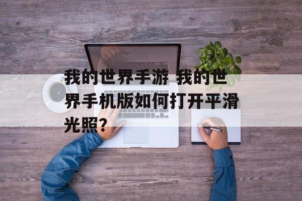 我的世界手游 我的世界手机版如何打开平滑光照？