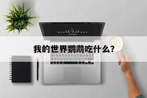 我的世界鹦鹉吃什么？