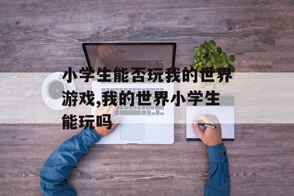 小学生能否玩我的世界游戏,我的世界小学生能玩吗