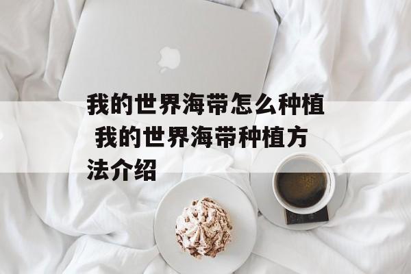 我的世界海带怎么种植 我的世界海带种植方法介绍