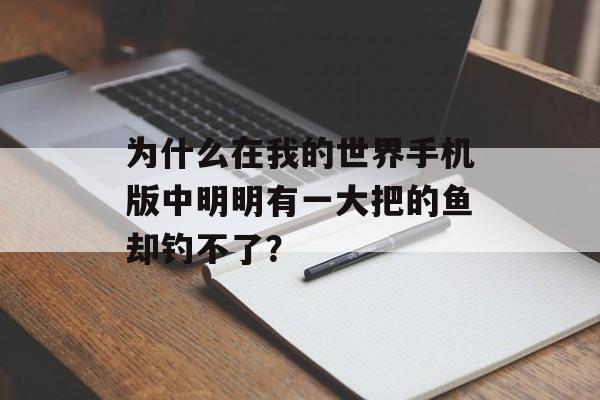 为什么在我的世界手机版中明明有一大把的鱼却钓不了？