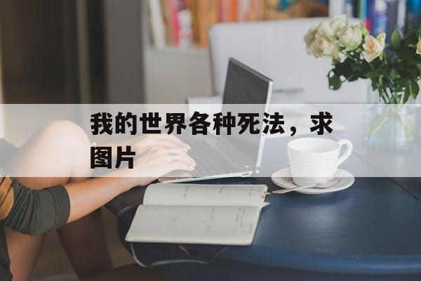 我的世界各种死法，求图片