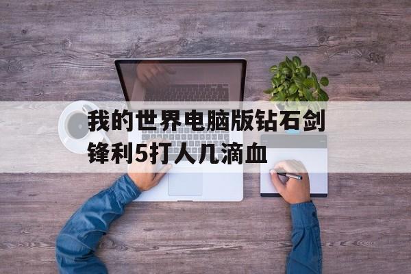 我的世界电脑版钻石剑锋利5打人几滴血