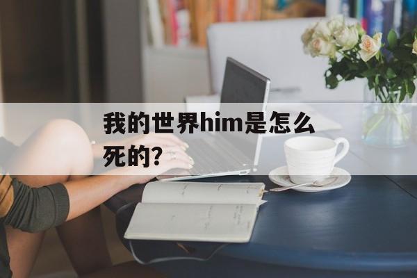 我的世界him是怎么死的？