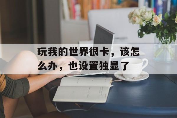 玩我的世界很卡，该怎么办，也设置独显了