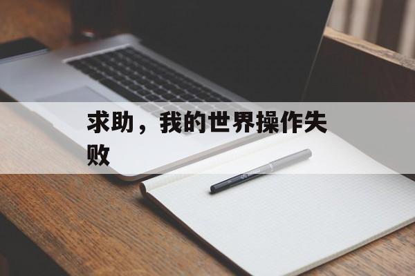 求助，我的世界操作失败