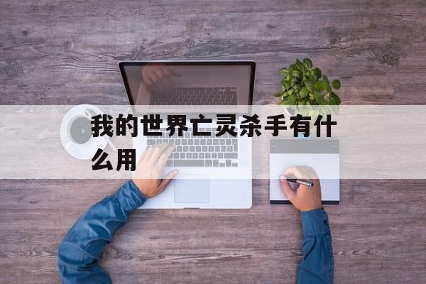 我的世界亡灵杀手有什么用