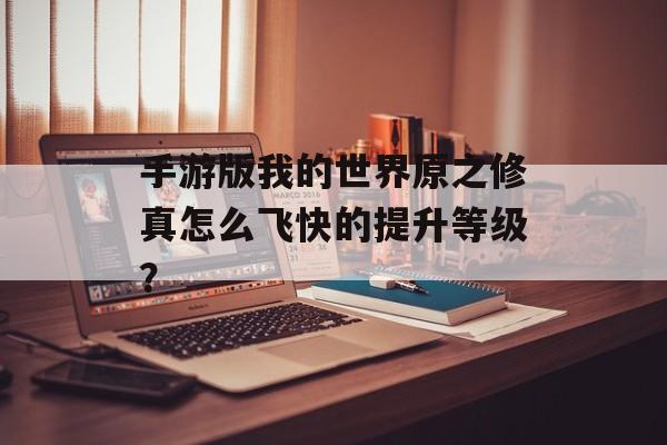 手游版我的世界原之修真怎么飞快的提升等级？