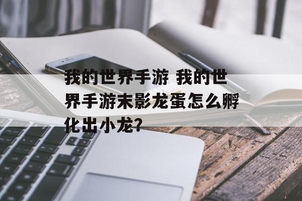 我的世界手游 我的世界手游末影龙蛋怎么孵化出小龙？