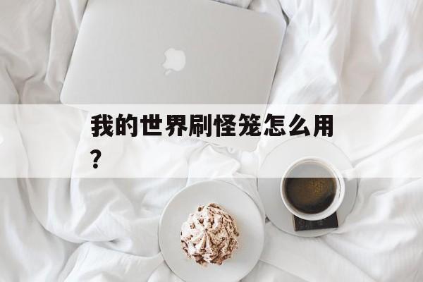 我的世界刷怪笼怎么用？