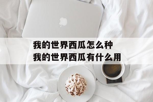我的世界西瓜怎么种 我的世界西瓜有什么用