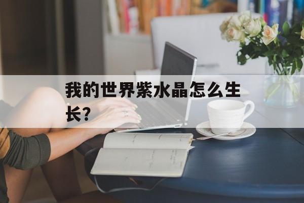 我的世界紫水晶怎么生长？