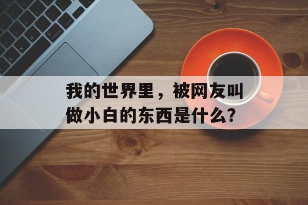 我的世界里，被网友叫做小白的东西是什么？