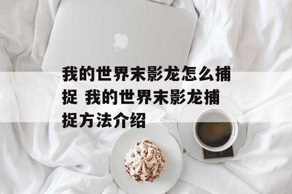 我的世界末影龙怎么捕捉 我的世界末影龙捕捉方法介绍