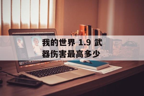 我的世界 1.9 武器伤害最高多少