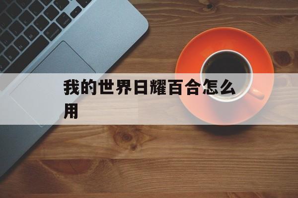 我的世界日耀百合怎么用