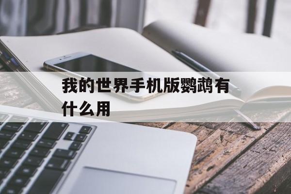 我的世界手机版鹦鹉有什么用