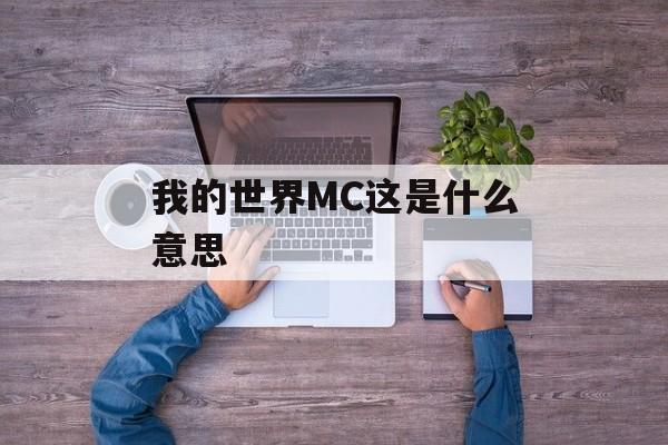 我的世界MC这是什么意思