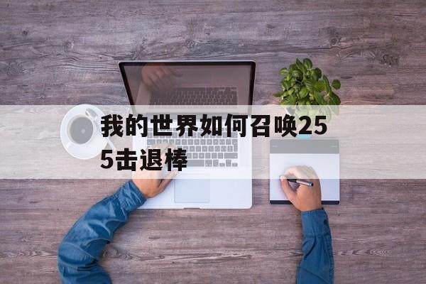 我的世界如何召唤255击退棒