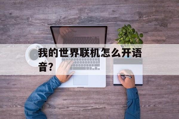 我的世界联机怎么开语音？