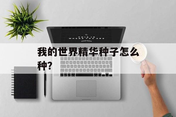 我的世界精华种子怎么种？